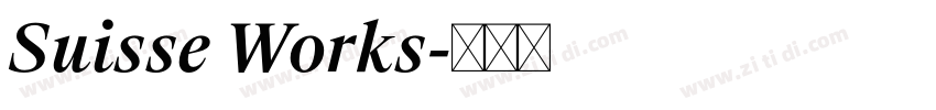 Suisse Works字体转换